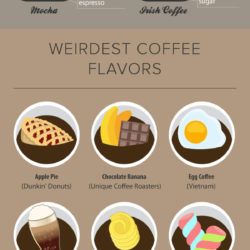 coffee-infographic-everything-you-need-to-know-about-coffee